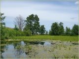 Село Наваты, image of landscape/habitat.