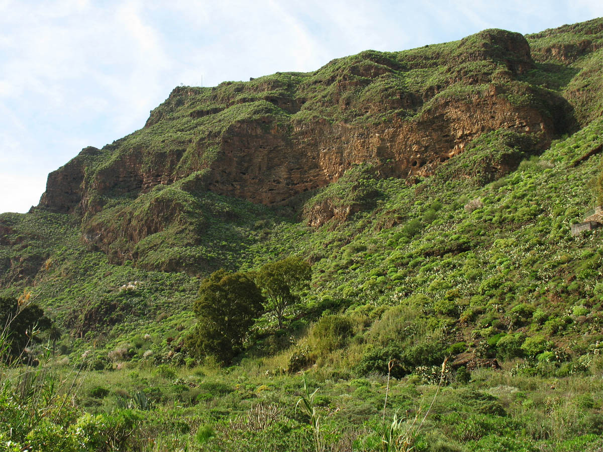 Ущелье Гуайядеке, image of landscape/habitat.