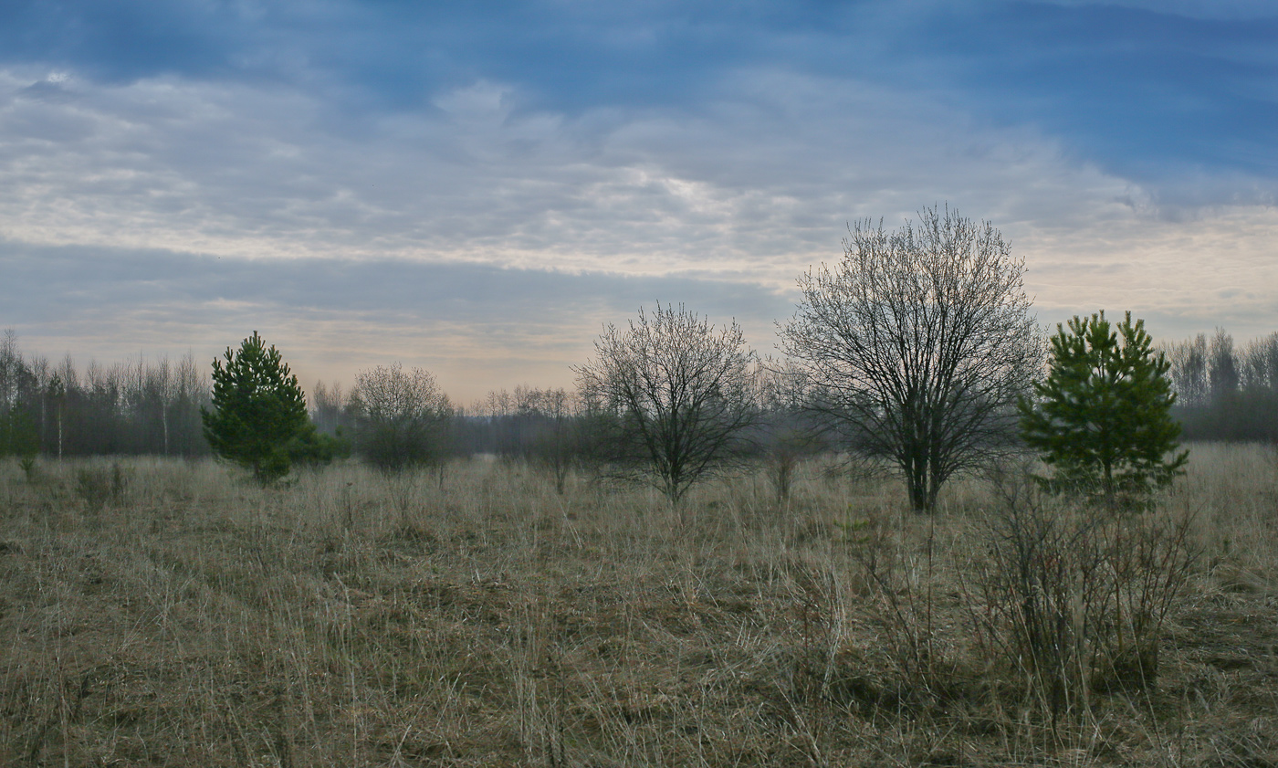 Закамск, image of landscape/habitat.