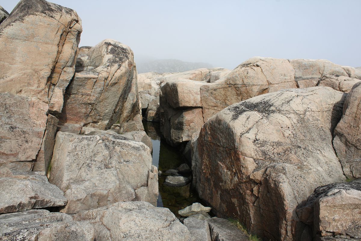 Дальние Зеленцы, image of landscape/habitat.