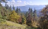 Image of landscape