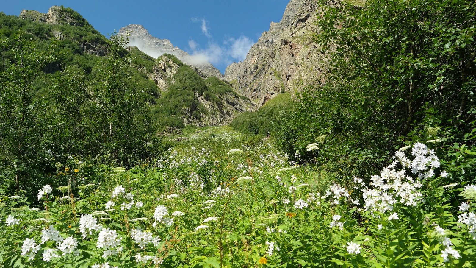 Аманауз, image of landscape/habitat.