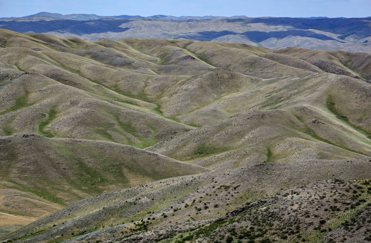 Губерлинские горы, image of landscape/habitat.