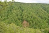 Image of landscape