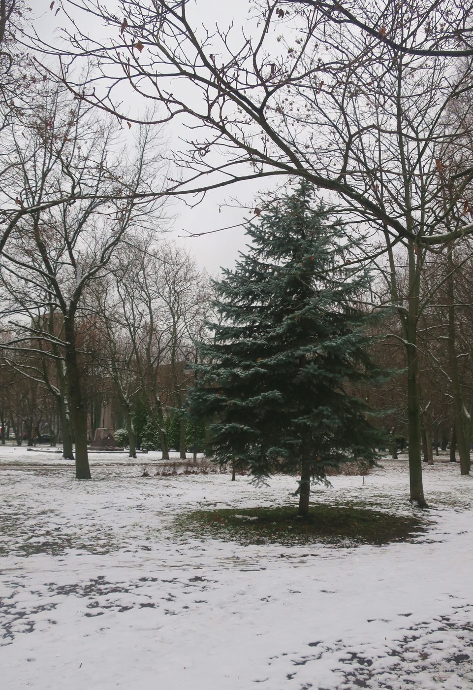 Василеостровский район, image of landscape/habitat.