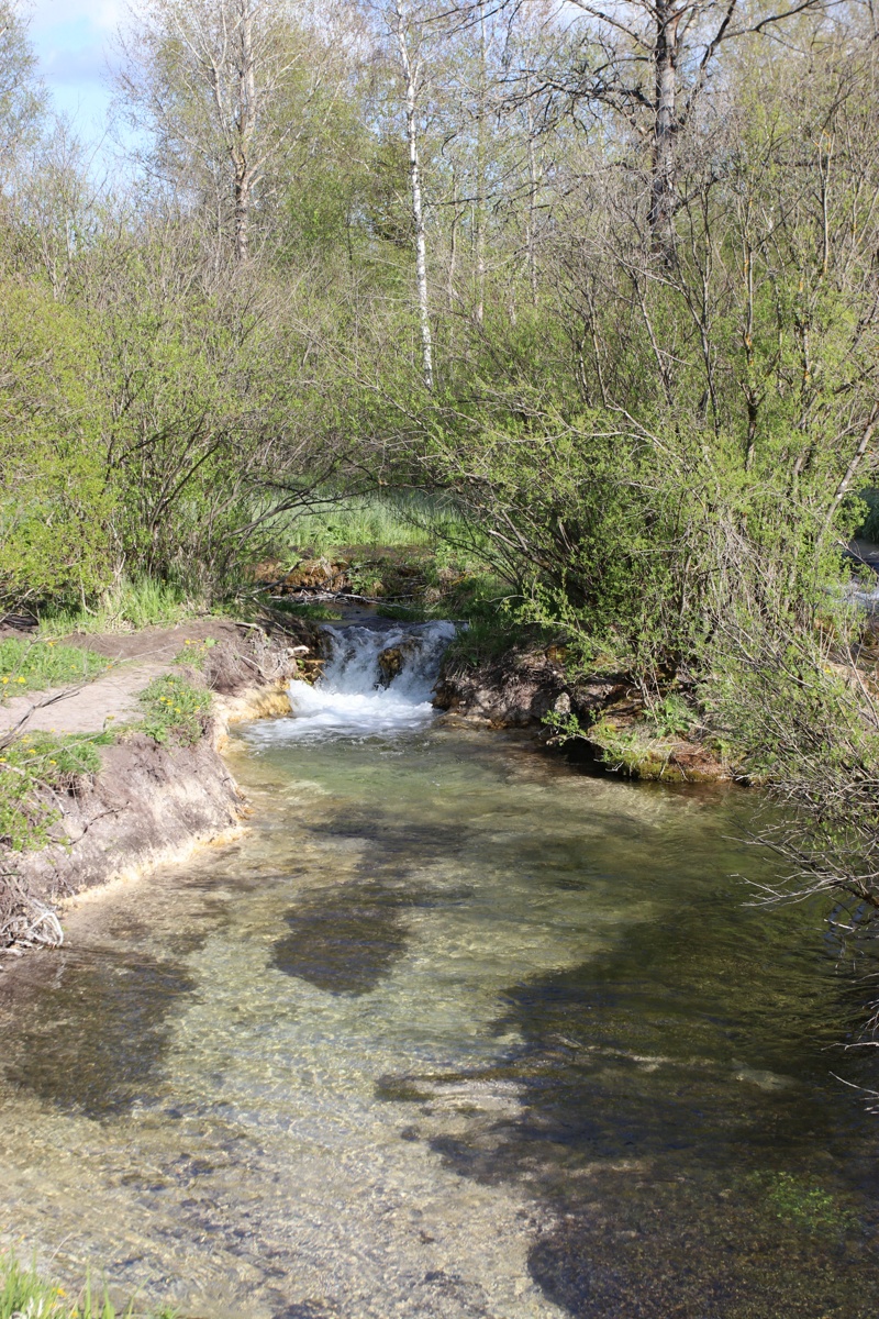 Истоки Шингарки, изображение ландшафта.