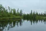 Image of landscape