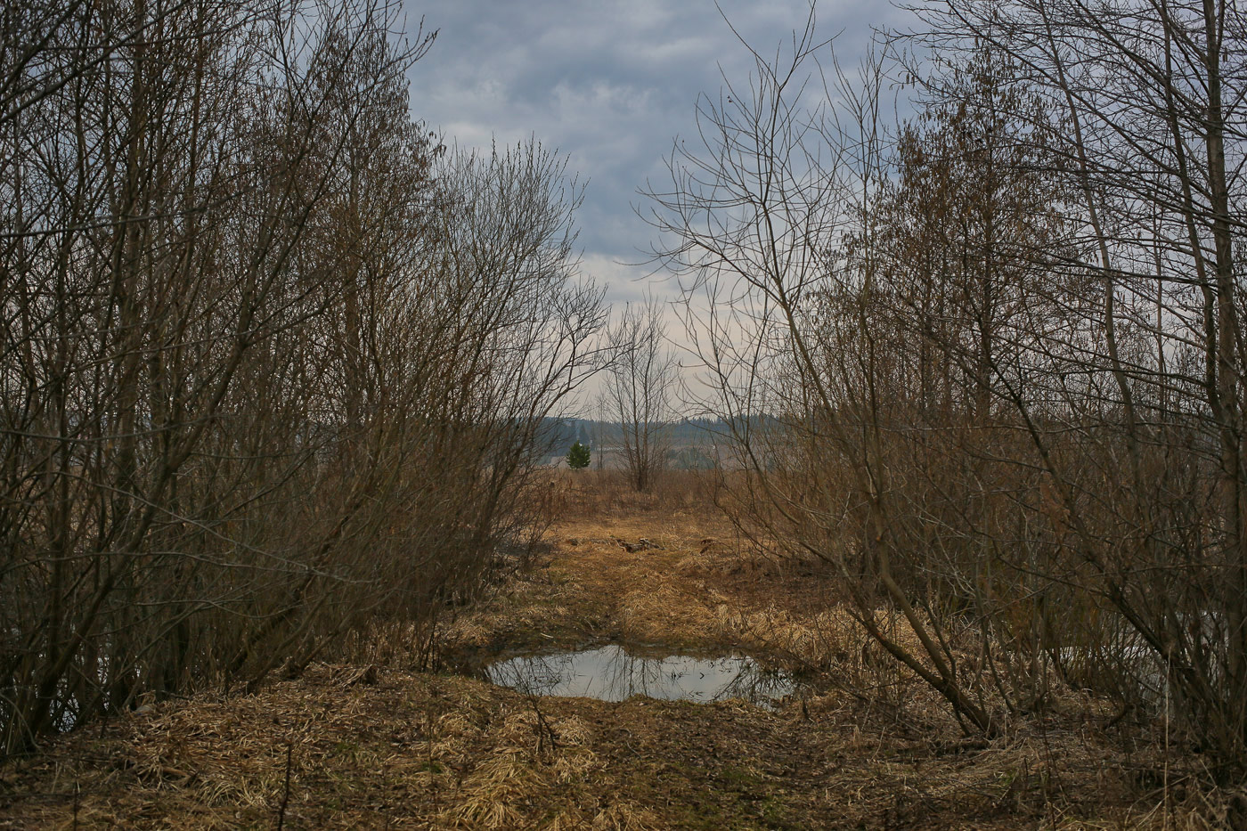 Закамск, image of landscape/habitat.