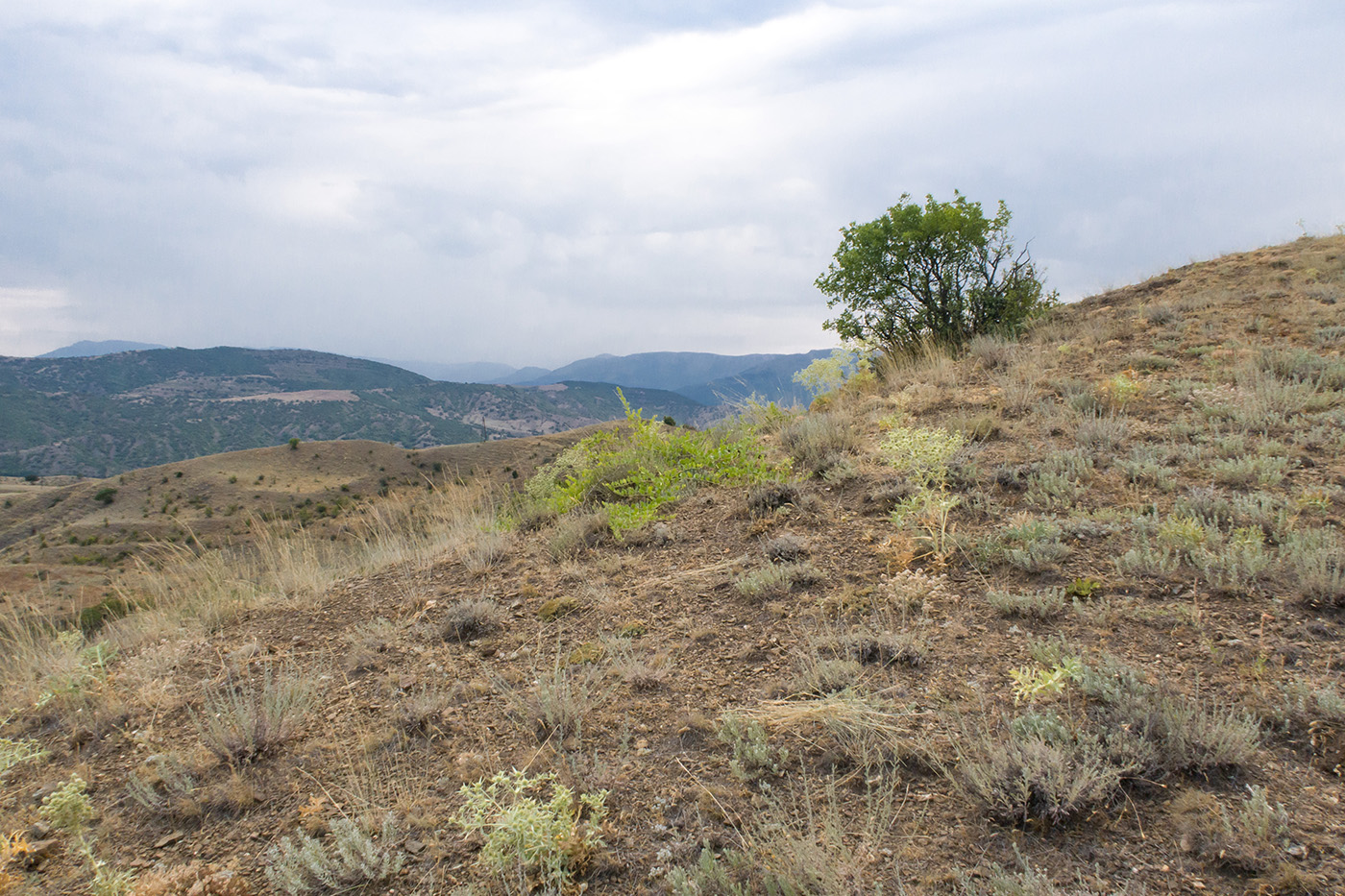 Гора Казах, image of landscape/habitat.