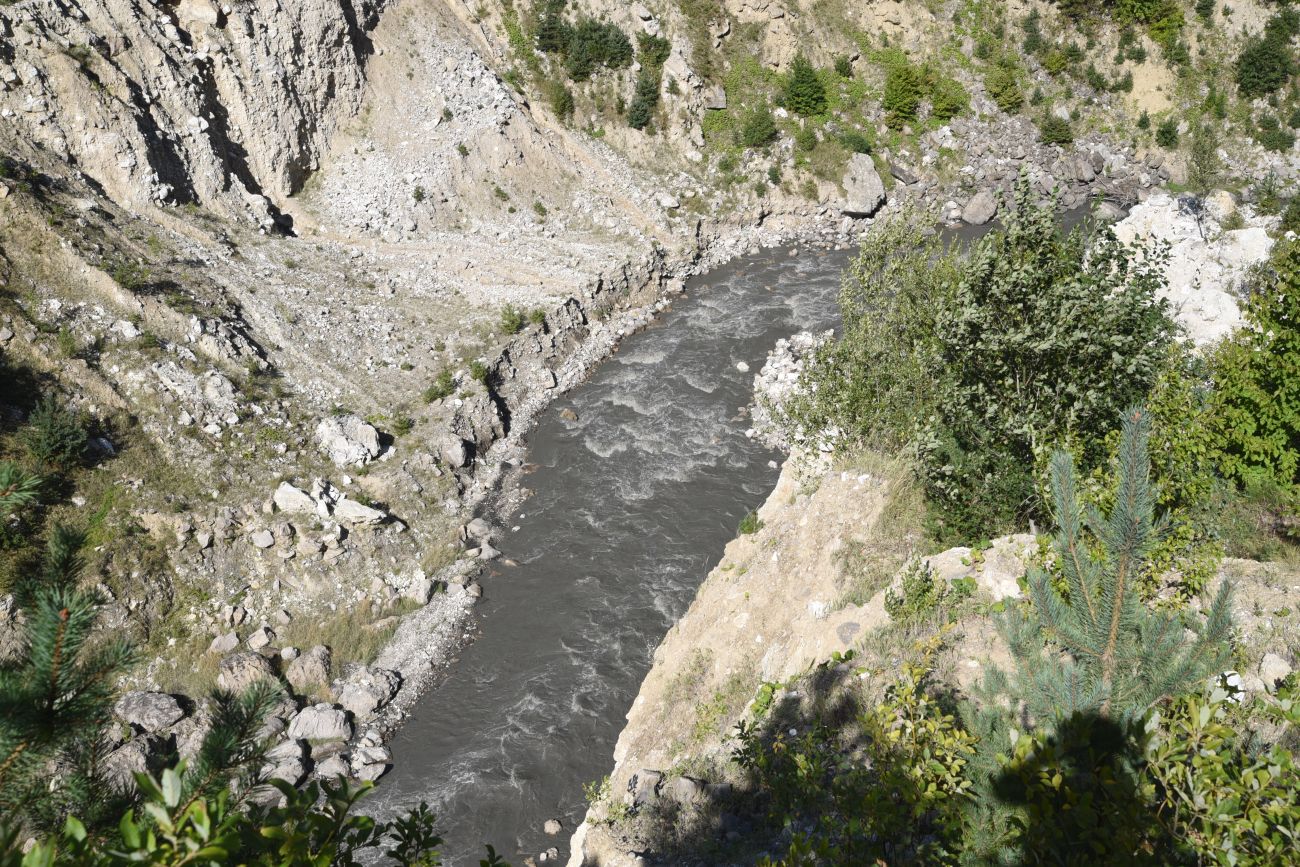 Устье реки Келойахк, image of landscape/habitat.