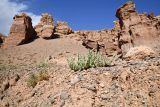 Image of landscape
