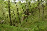 Image of landscape