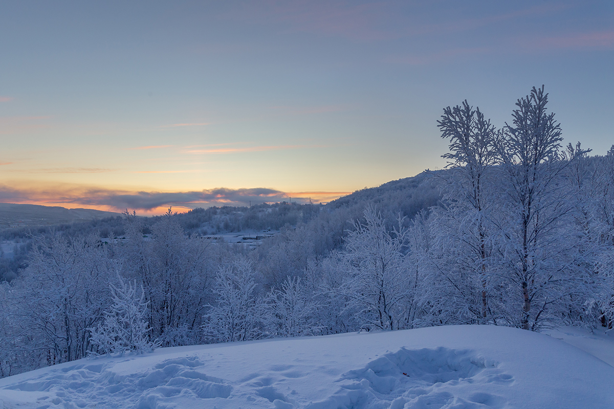 Горелая сопка, image of landscape/habitat.
