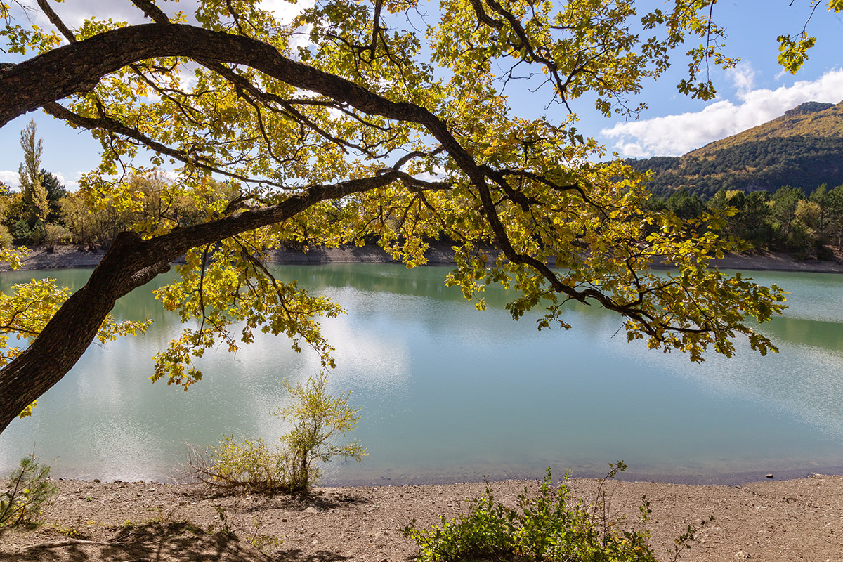 Урочище Парагильмен, image of landscape/habitat.