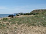 Лисья бухта, image of landscape/habitat.
