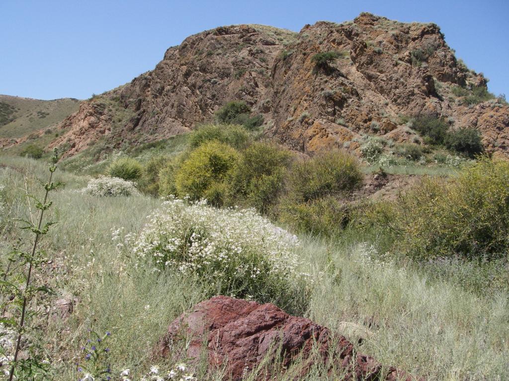 Среднее течение реки Тимерлик, image of landscape/habitat.