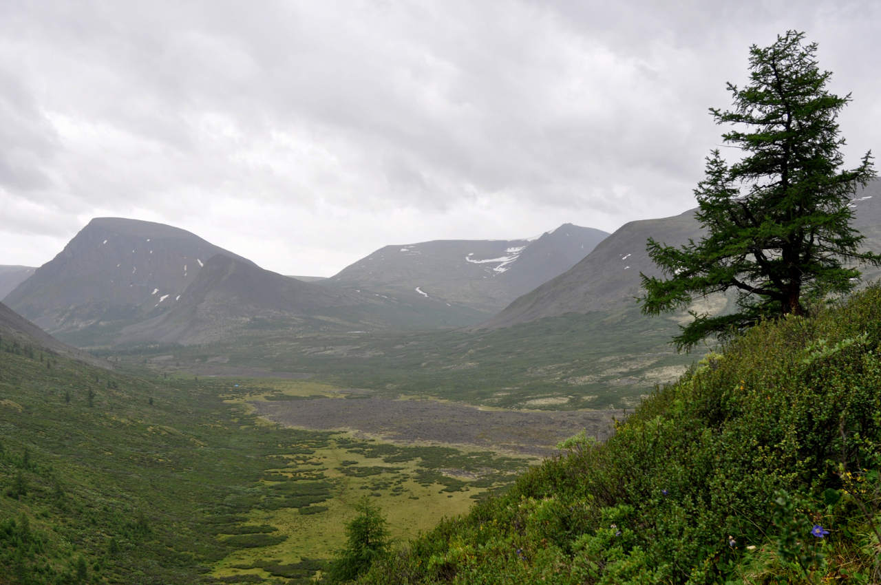 Падь Хи-Гол (Долина вулканов), image of landscape/habitat.