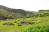 Image of landscape