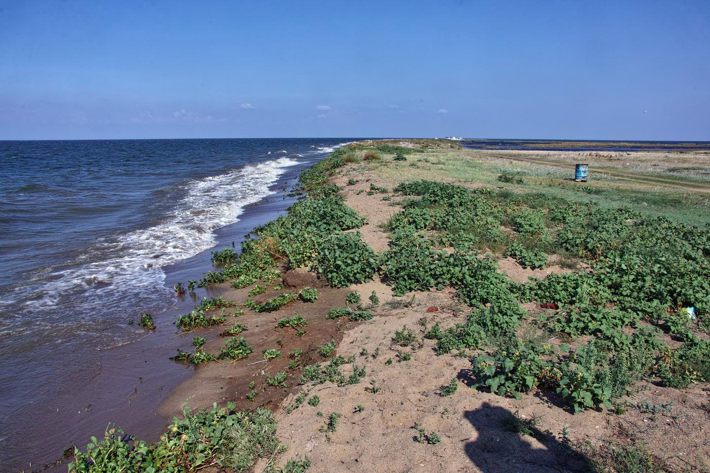 Зайсан, image of landscape/habitat.