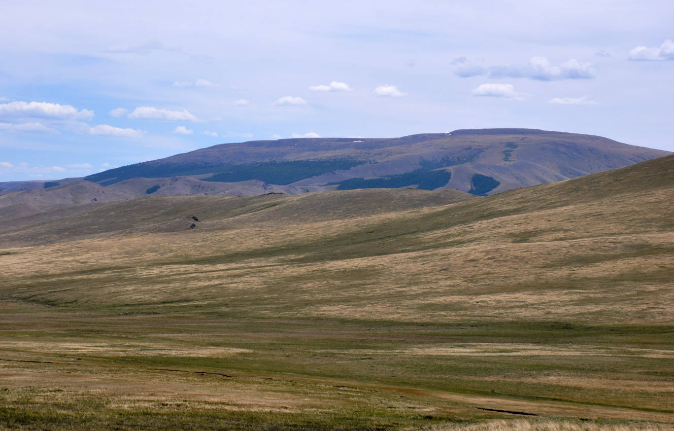Западные отроги хребта Хангай, image of landscape/habitat.