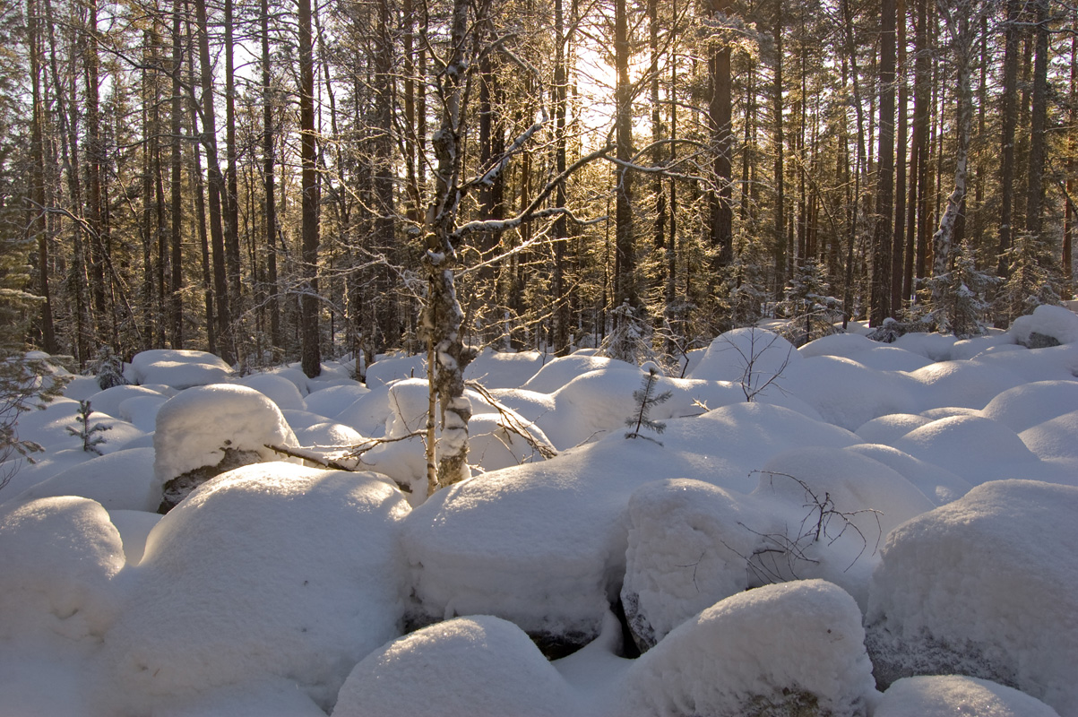 Инзерские Зубчатки, image of landscape/habitat.