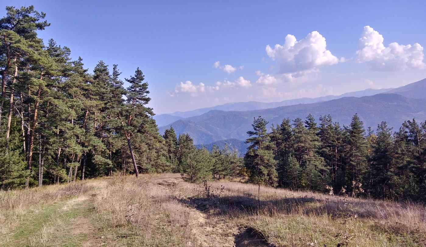 Нац. парк "Боржоми-Харагаули", image of landscape/habitat.
