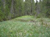 Image of landscape
