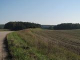 Image of landscape
