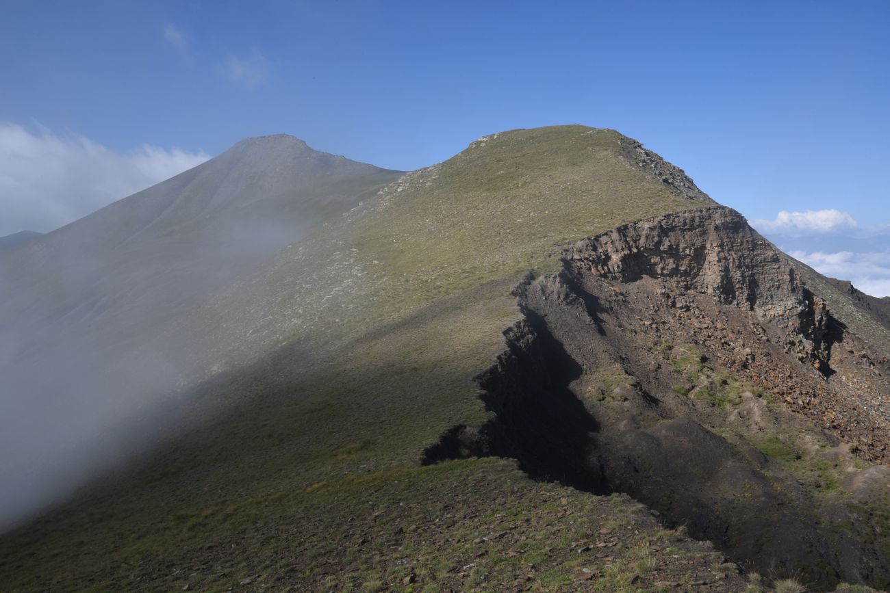 2 км от вершины горы Заинкорт, image of landscape/habitat.