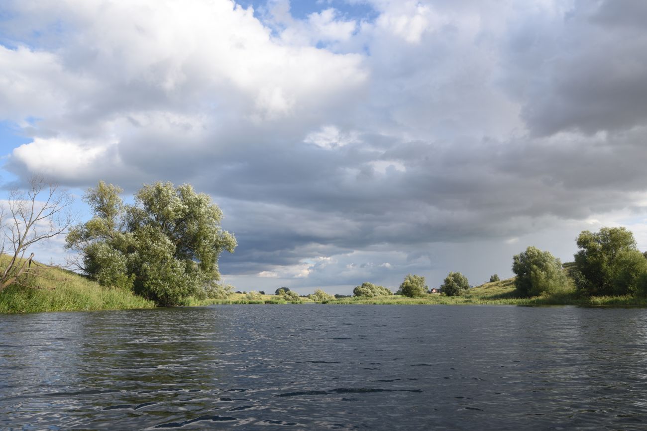Село Никольское, image of landscape/habitat.