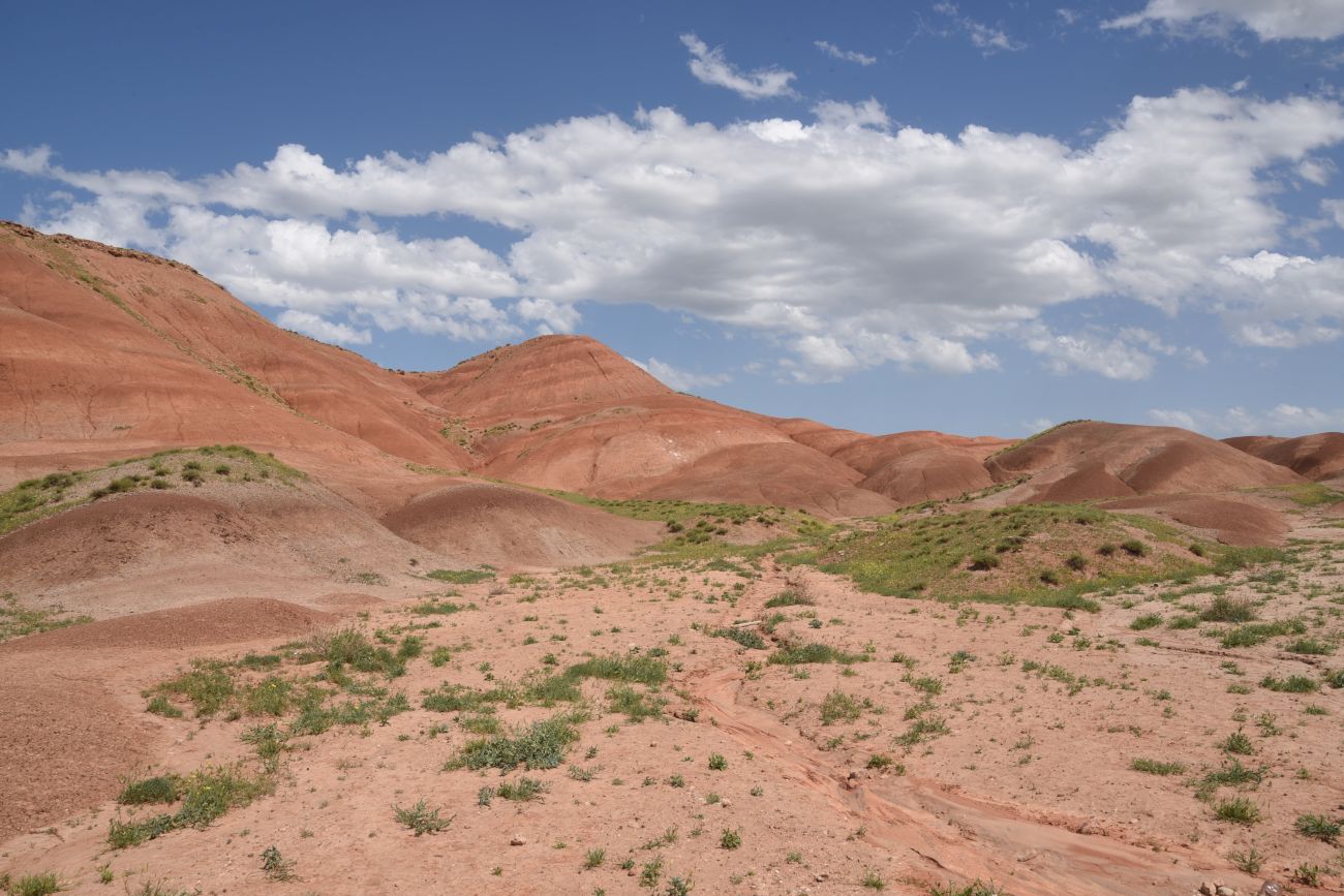 Урочище Кызыл-Кая, image of landscape/habitat.