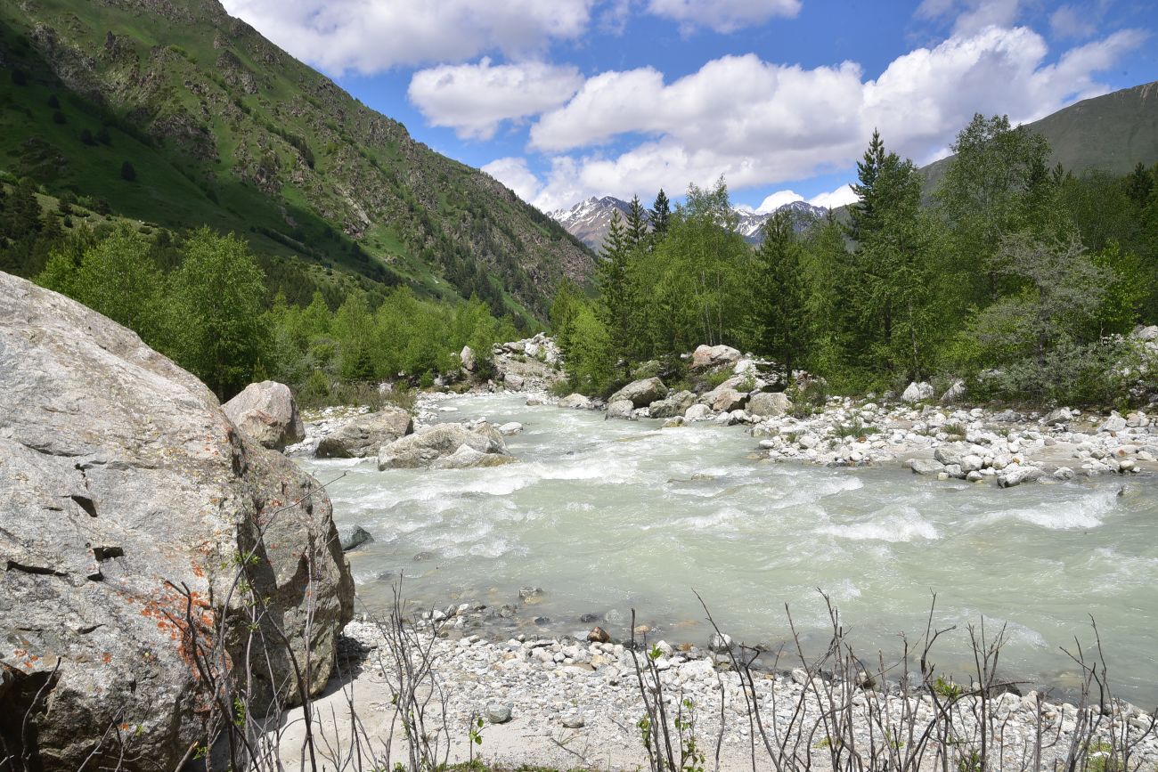 Улыбка Шхельды, image of landscape/habitat.