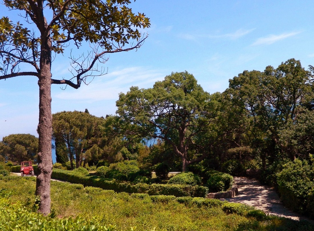 Алупкинский (Воронцовский) парк, image of landscape/habitat.