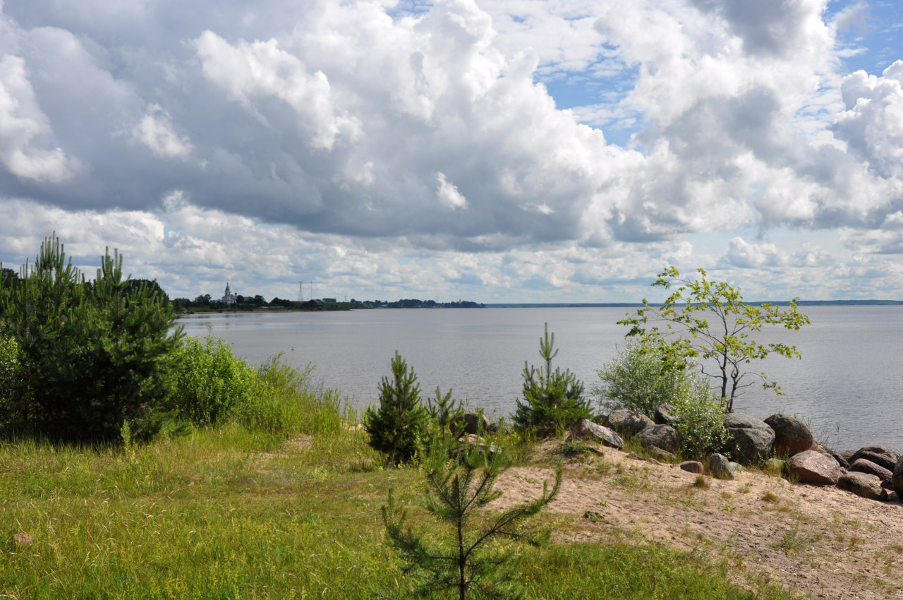 Остров Верхний, image of landscape/habitat.