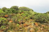 Image of landscape