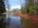 Город Пушкин, image of landscape/habitat.