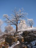 Новоград-Волынский, изображение ландшафта.