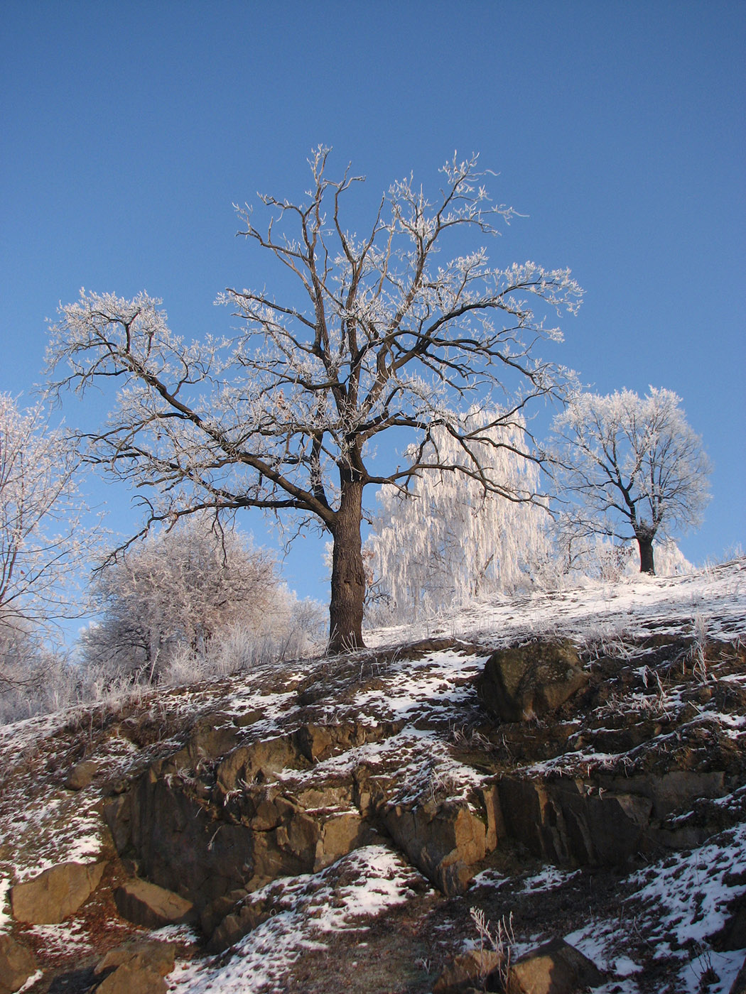 Новоград-Волынский, image of landscape/habitat.