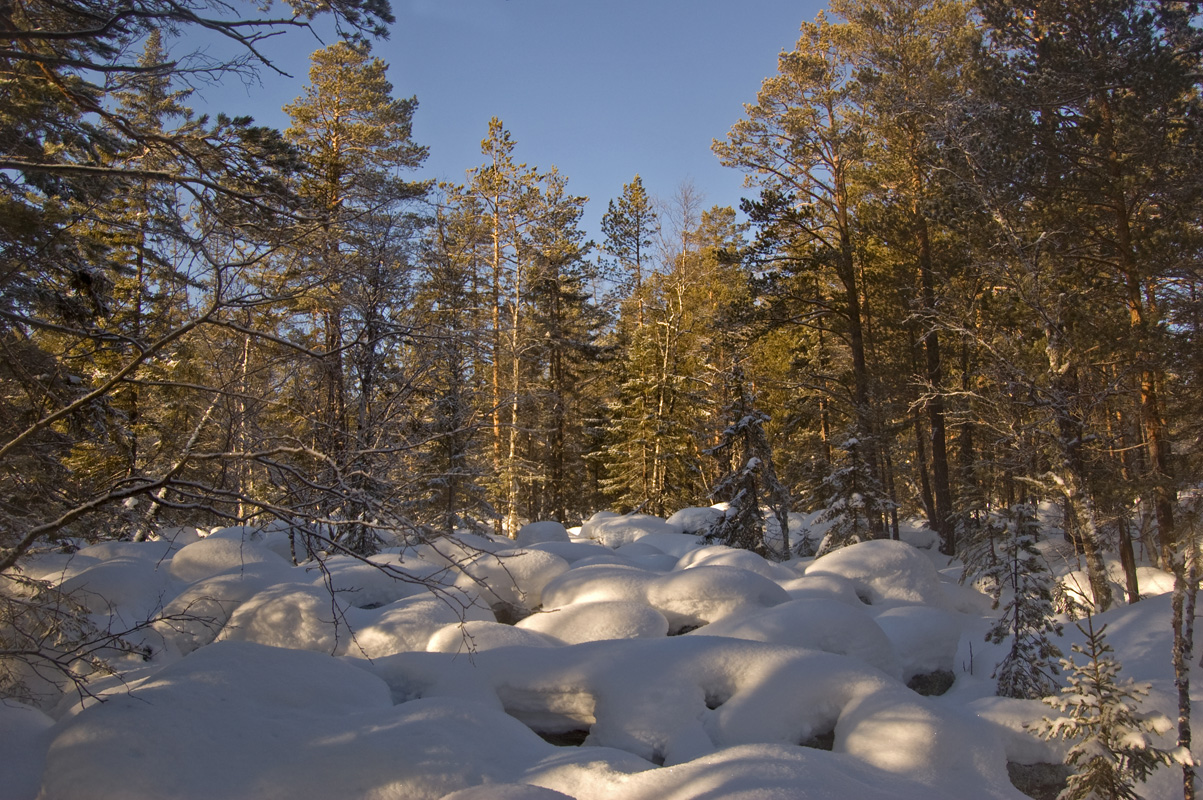 Инзерские Зубчатки, image of landscape/habitat.