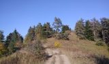 Image of landscape