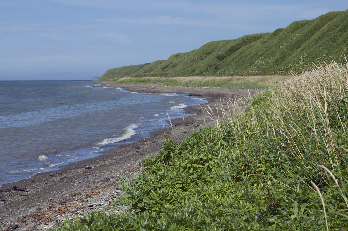 Томари, image of landscape/habitat.
