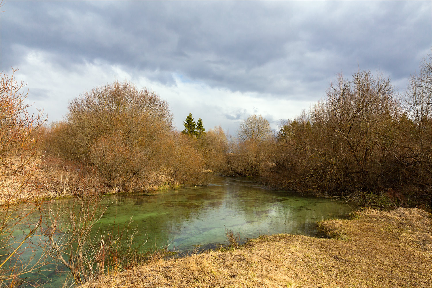 Окрестности Пудости, image of landscape/habitat.