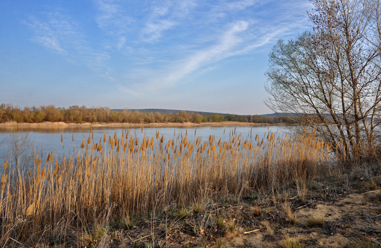 Голубинские пески, image of landscape/habitat.