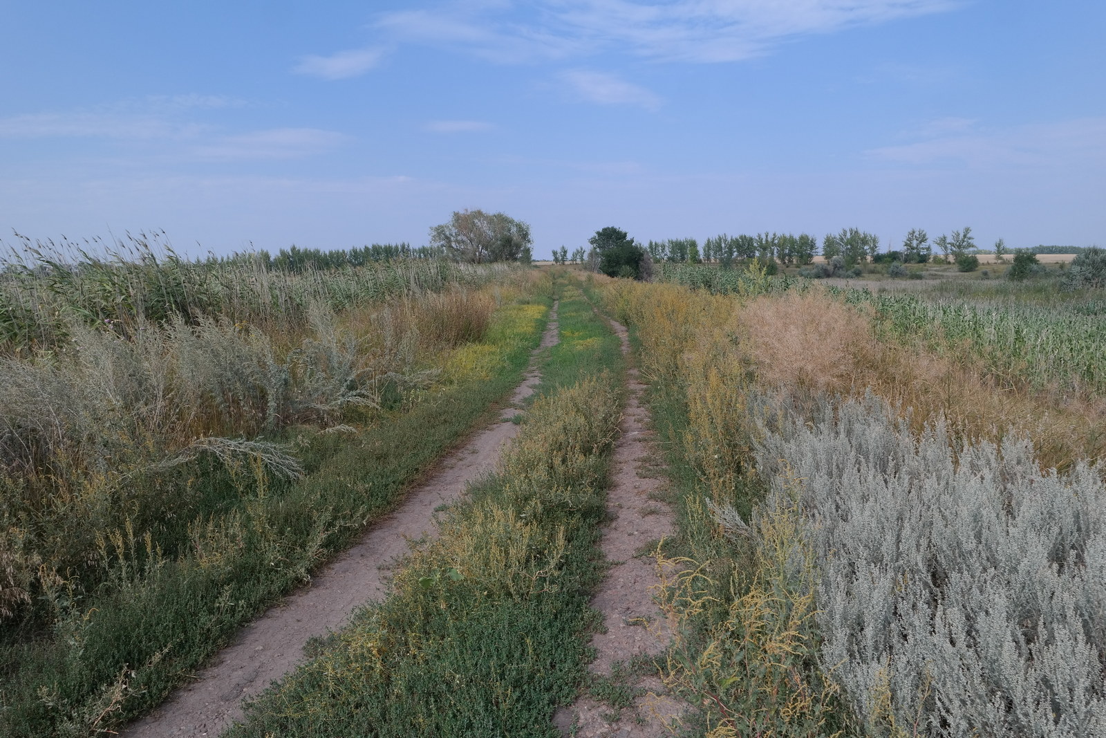 Тройня, image of landscape/habitat.