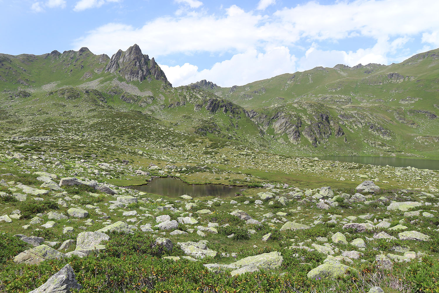 Ацгарские озёра, image of landscape/habitat.