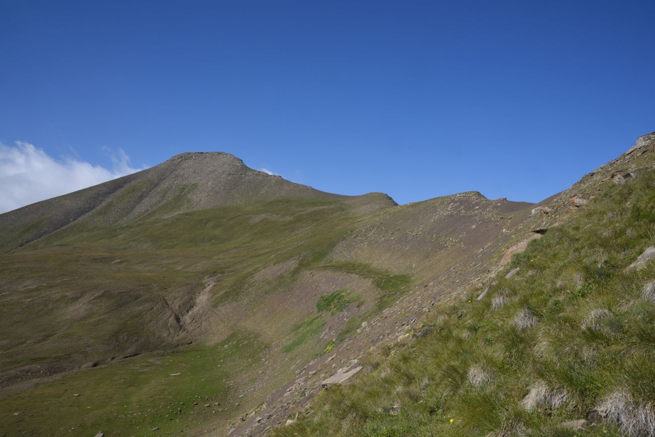2 км от вершины горы Заинкорт, image of landscape/habitat.