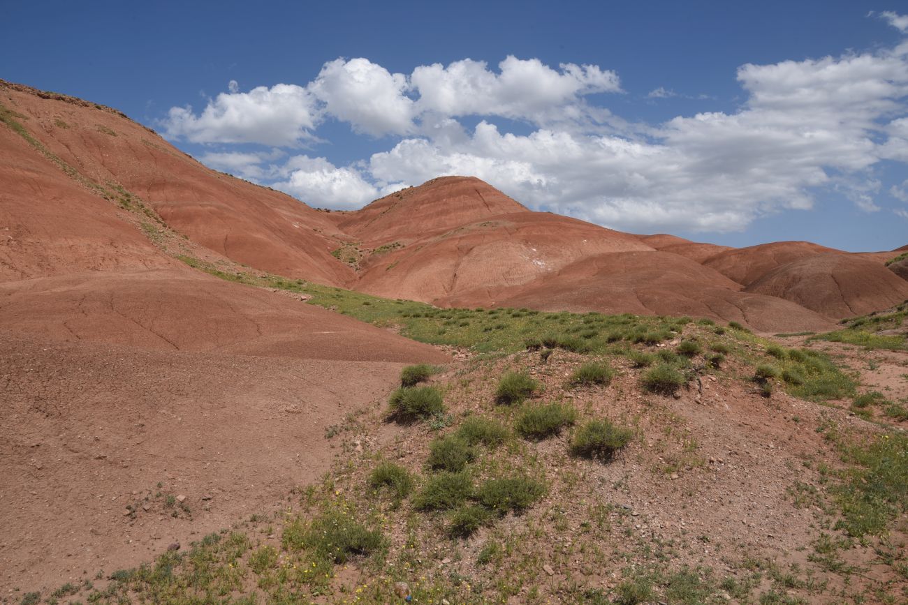 Урочище Кызыл-Кая, image of landscape/habitat.