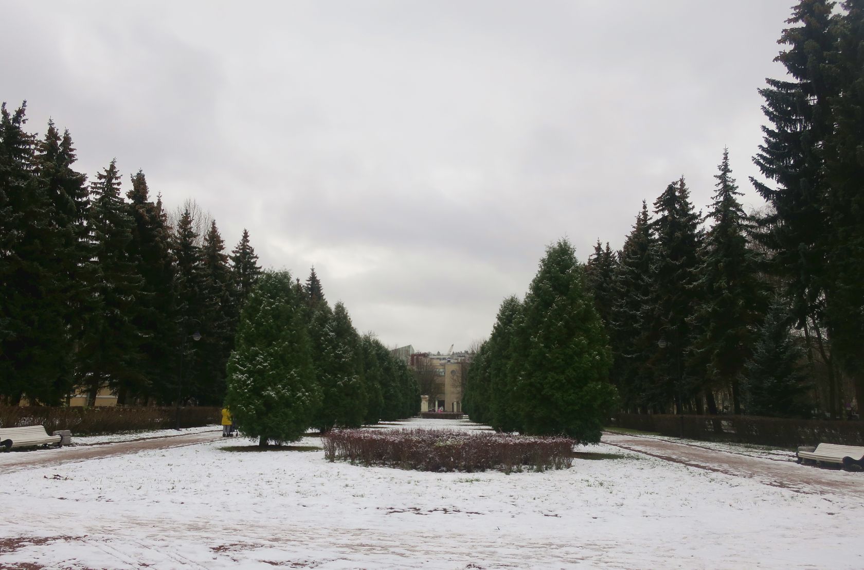 Василеостровский район, image of landscape/habitat.