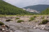 Окрестности Северного, изображение ландшафта.