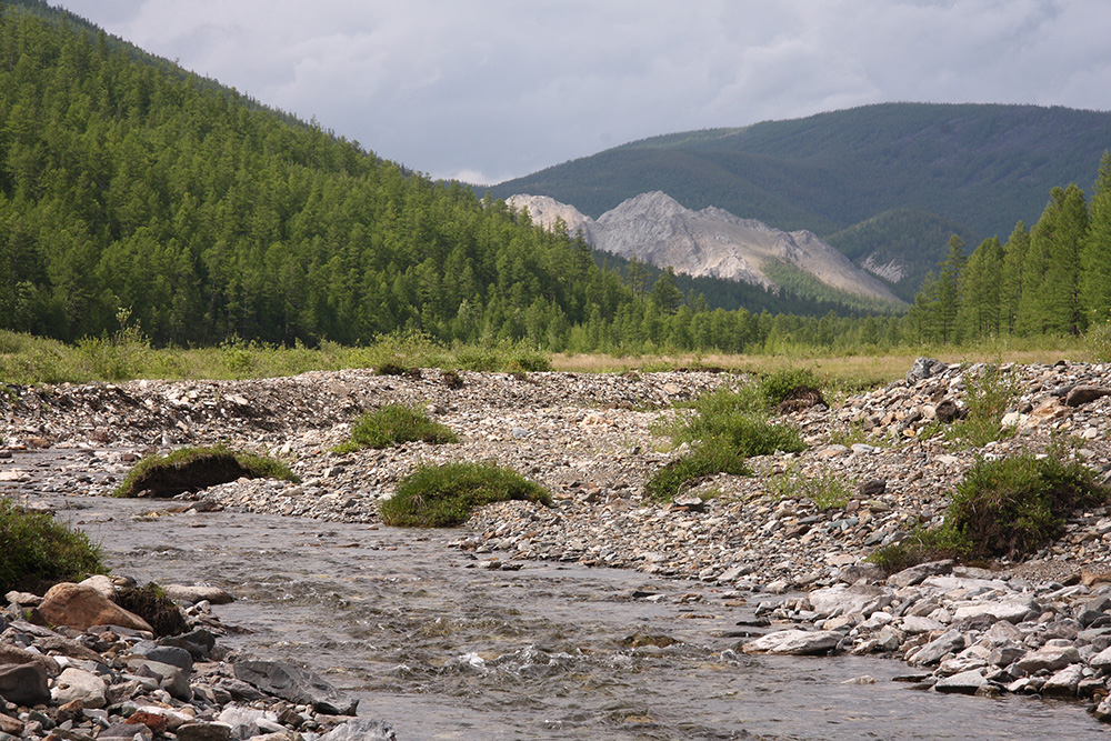 Окрестности Северного, image of landscape/habitat.